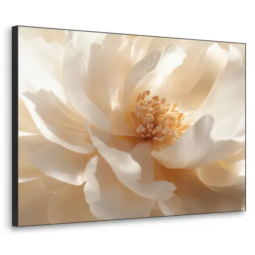 Close up - Pioenroos - Wit Textielframe - compleet frame klein -3d