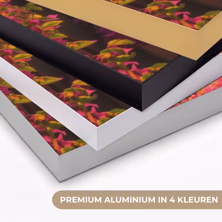 Colosseum - Rome - Roze Bloemen Textielframe zwart klein -USP_kleurenNL