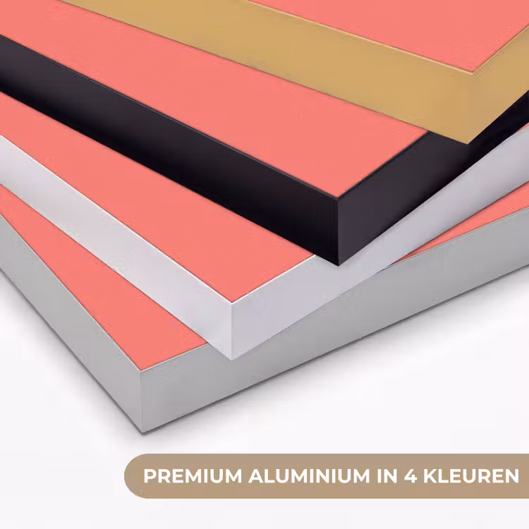 Coral - Punch - Koraal Textielframe zwart klein 947 -USP_kleurenNL
