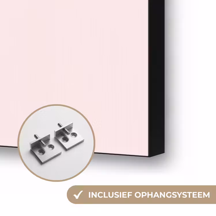 Cowboylaarzen - Roze - Boeket - Bloemen Textielframe zwart klein -USP_ophangsysteemNL