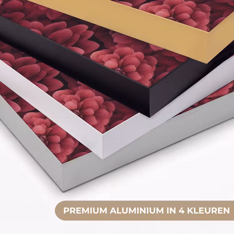 Dahlias - Bloemen - Rood Textielframe zwart klein 947 -USP_kleurenNL