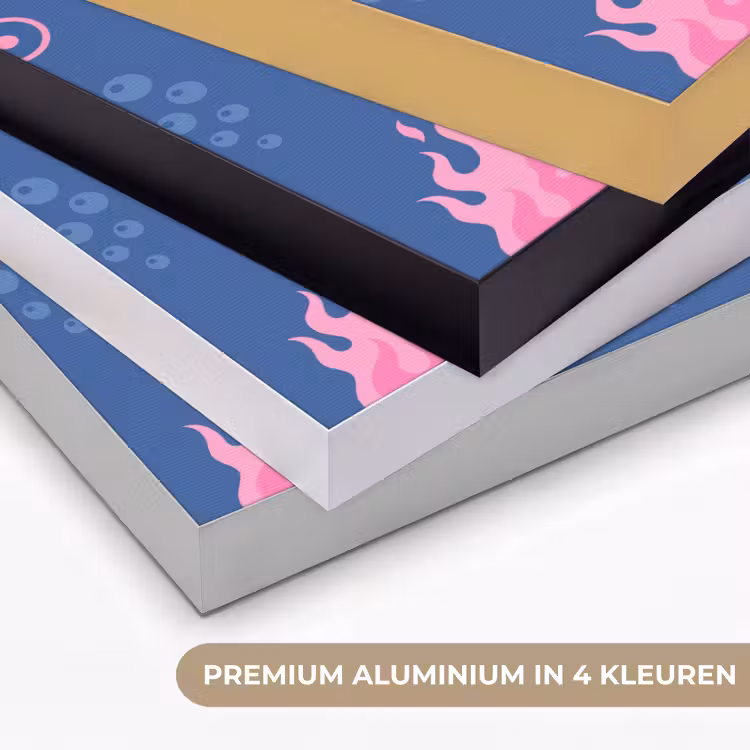 Danseres - Vlammenrok - Abstract - Roze - Blauw Textielframe zwart klein -USP_kleurenNL