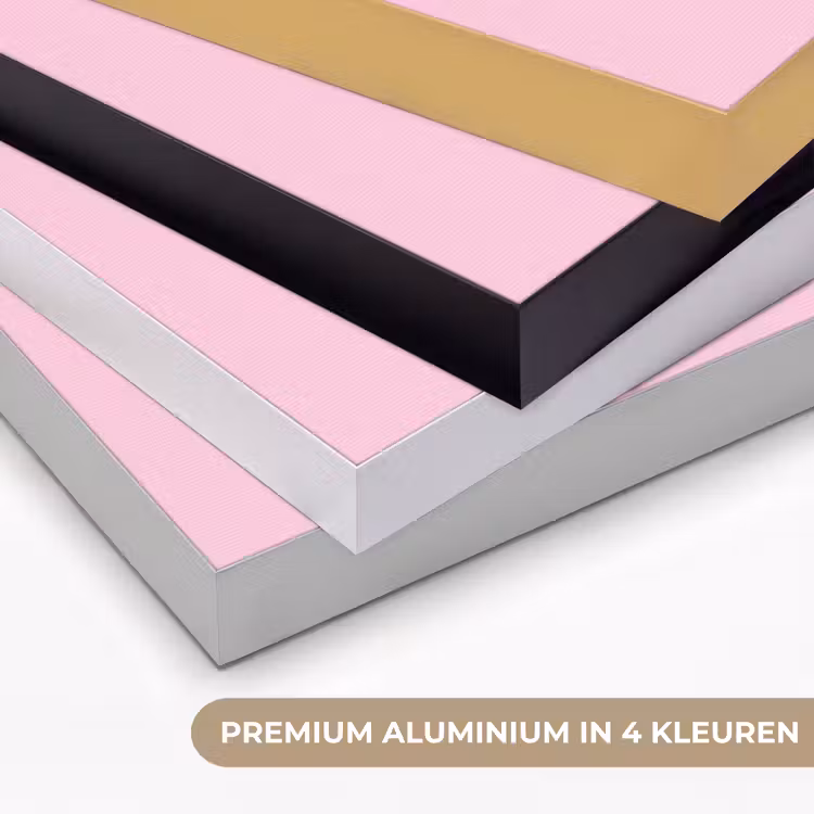 Decoratie - Disco-bal - Feest - Roze Textielframe zwart klein -USP_kleurenNL