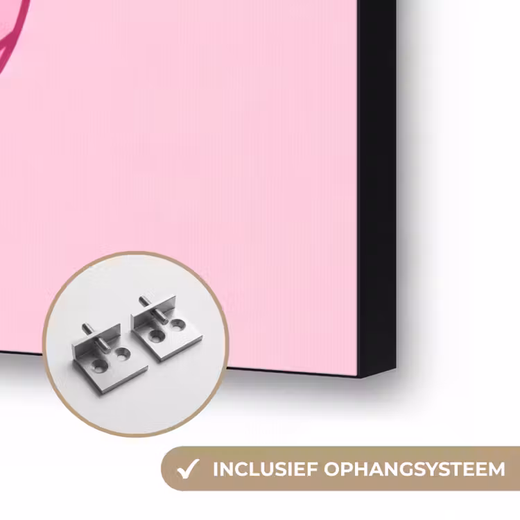 Decoratie - Disco-bal - Feest - Roze Textielframe zwart klein -USP_ophangsysteemNL