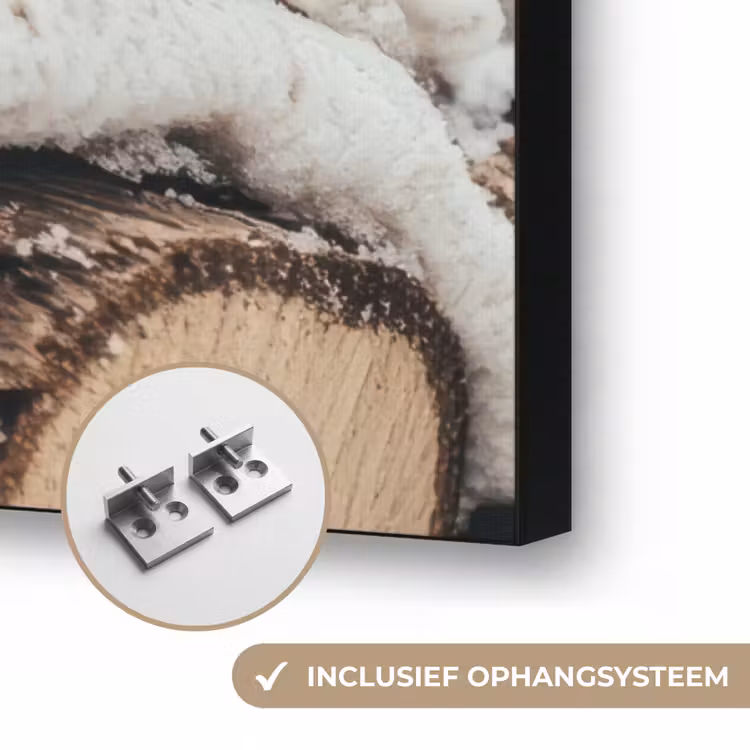Deken - Wit - Boomstronk - Winter - Sneeuw Textielframe zwart klein -USP_ophangsysteemNL