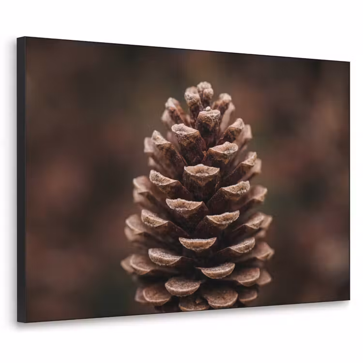 Dennenappel - Bos - Herfst - Bruin - Sfeervol Textielframe zwart klein -3d