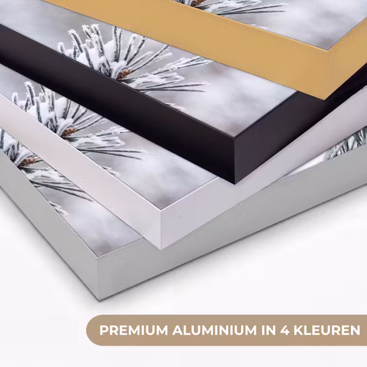Dennenappel - Tak - Sneeuw - Winter - Sfeervol Textielframe zwart klein -USP_kleurenNL