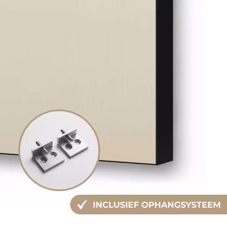 Dennentak - Naaldvormige bladeren - Lichtgroen Textielframe zwart klein -USP_ophangsysteemNL
