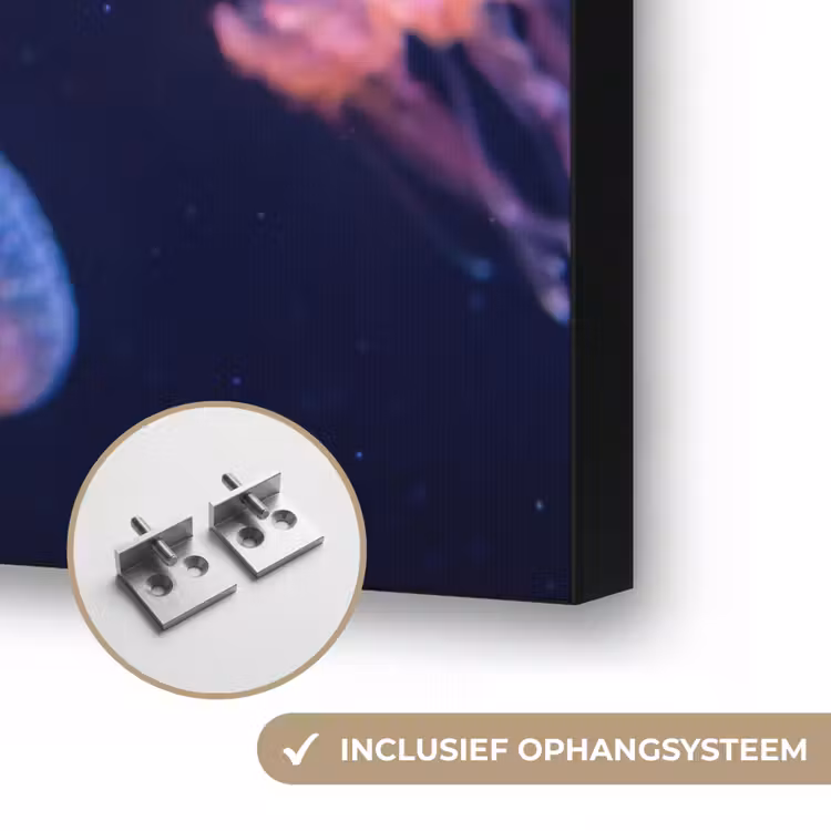Dier - Onderwater - Natuur - Roze - Mysterieus Textielframe zwart klein -USP_ophangsysteemNL