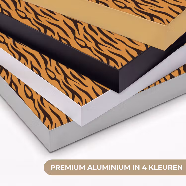Dier - Oranje - Tijger Textielframe zwart klein 947 -USP_kleurenNL