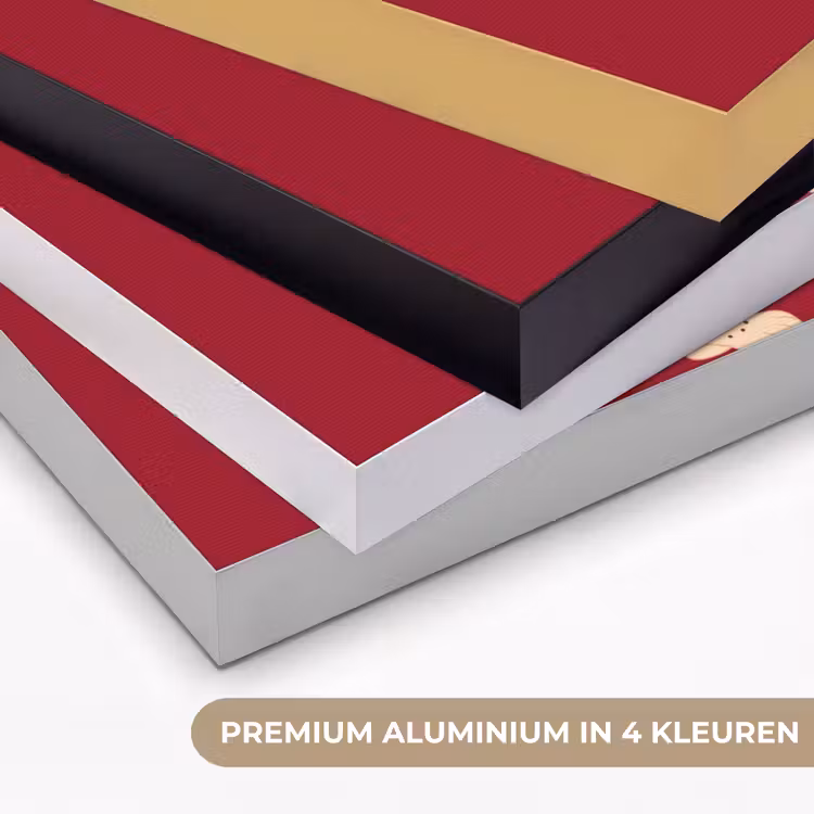 Dieren - Luipaard - Abstract - Rood - Modern Textielframe zwart klein -USP_kleurenNL