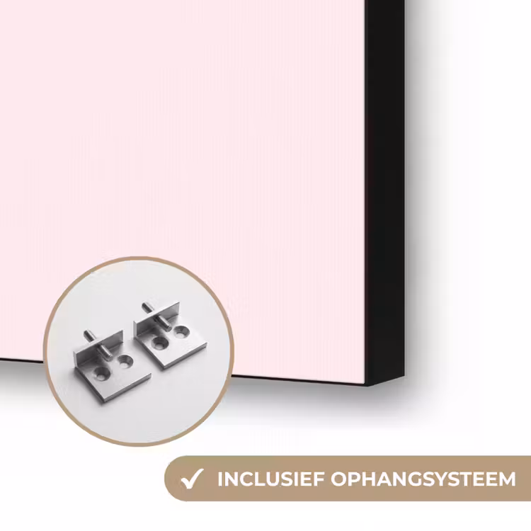 Dieren - Profiel - Abstract - Roze - Blauw Textielframe zwart klein -USP_ophangsysteemNL