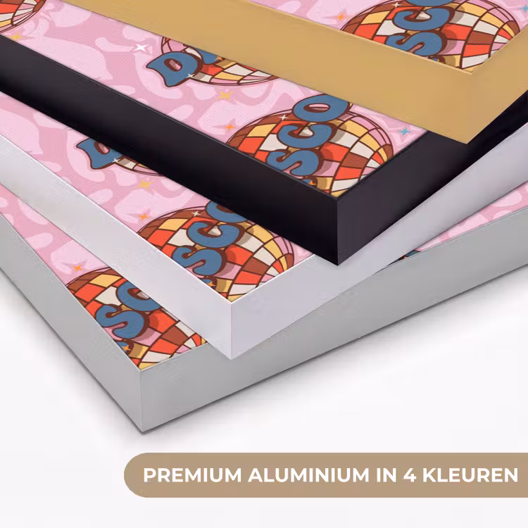 Disco - Bal - Patroon - Roze Textielframe zwart klein 947 -USP_kleurenNL