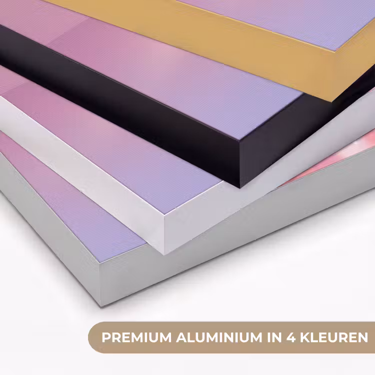 Disco - Fruit - Glitter - Strawberry Textielframe zwart klein -USP_kleurenNL