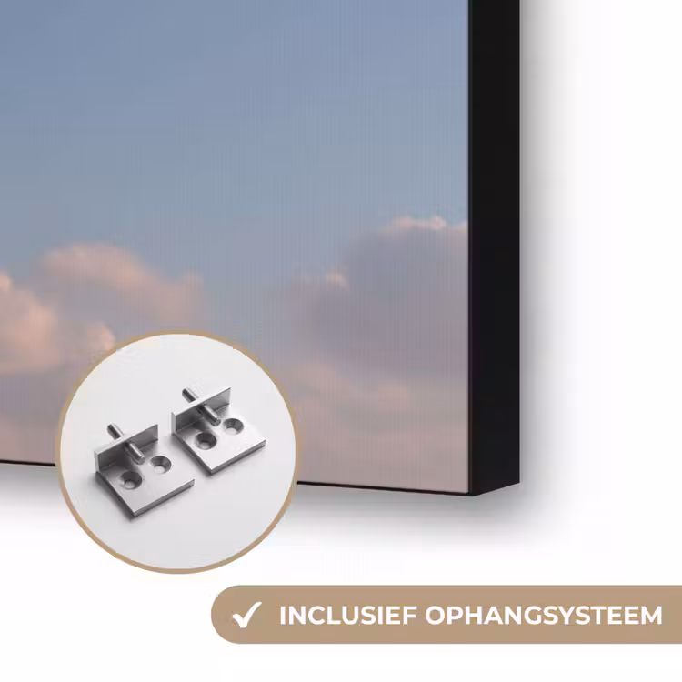 Dolfijn - Roze - Astronaut Textielframe zwart klein -USP_ophangsysteemNL