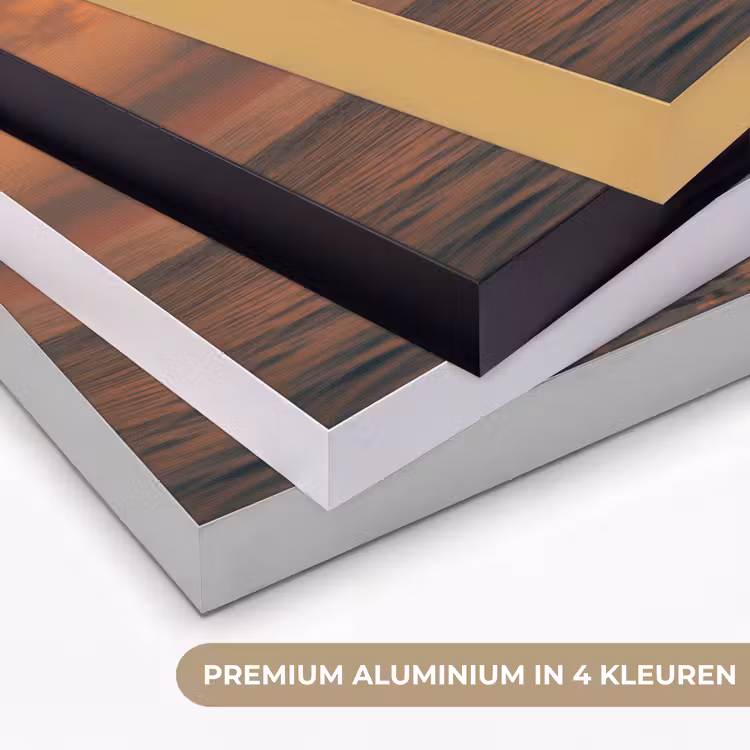 Dolfijnen - Zee - Realistisch Textielframe zwart klein -USP_kleurenNL