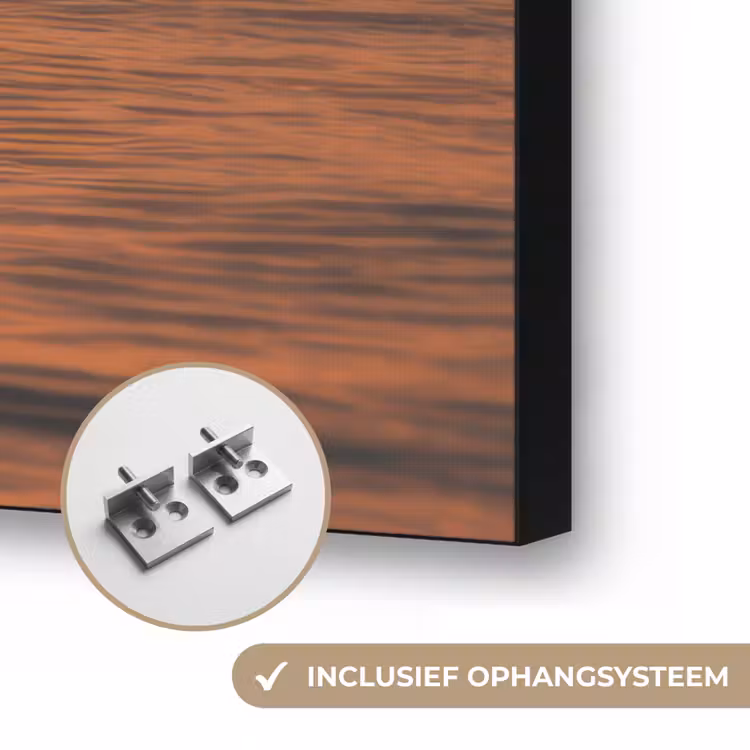 Dolfijnen - Zee - Realistisch Textielframe zwart klein -USP_ophangsysteemNL