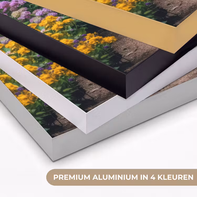 Doorkijk - Bloemen - Hortensia - Pad Textielframe zwart klein -USP_kleurenNL