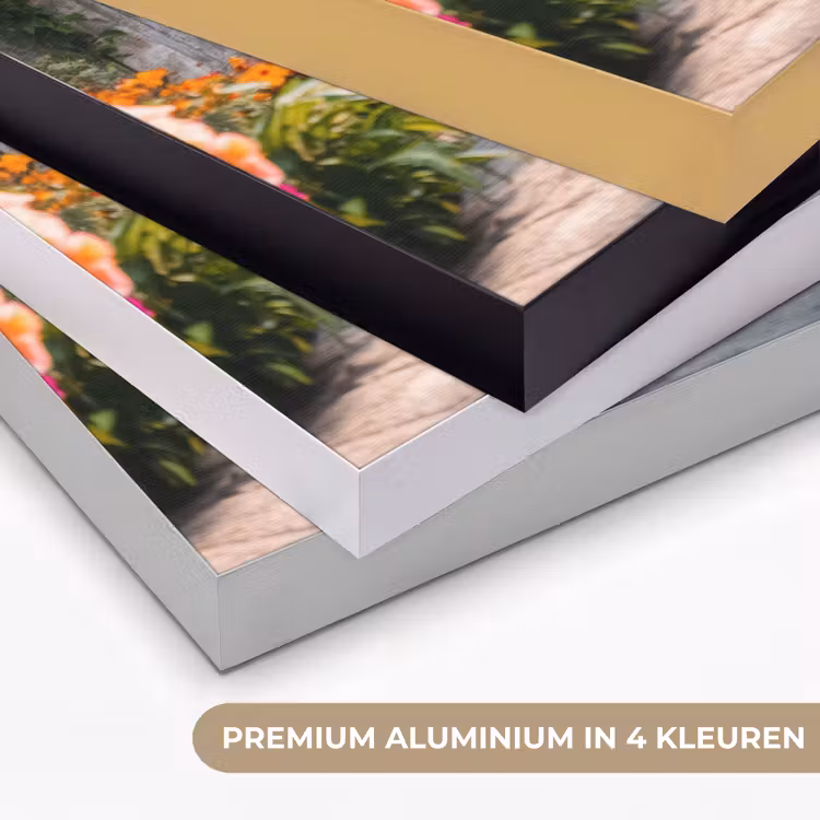 Doorkijk - Bloemen - Tropisch - Kleurrijk Textielframe zwart klein -USP_kleurenNL