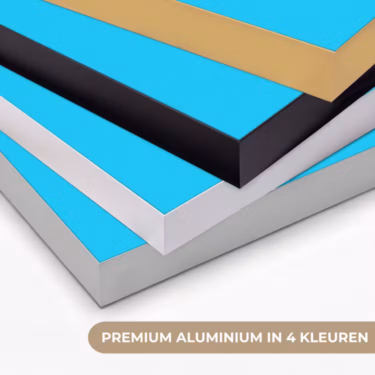 Drakenfruit - Blauw - Levendig Textielframe zwart klein -USP_kleurenNL