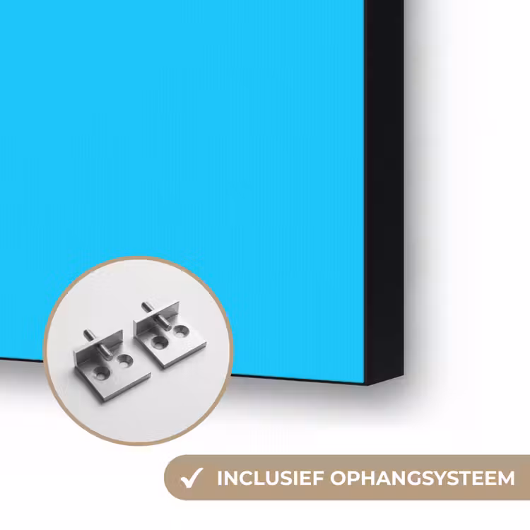 Drakenfruit - Blauw - Levendig Textielframe zwart klein -USP_ophangsysteemNL