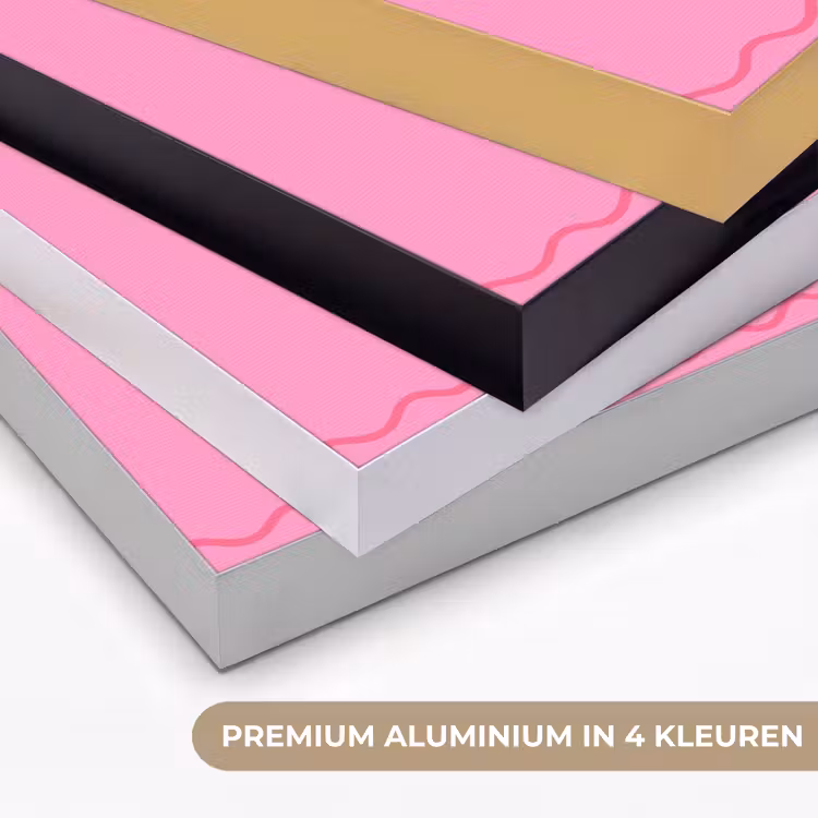 Drank - Glazen - Proost - Modern - Roze Textielframe zwart klein -USP_kleurenNL