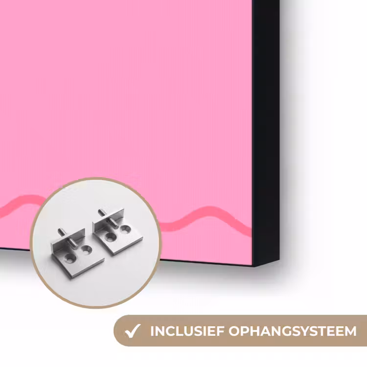 Drank - Glazen - Proost - Modern - Roze Textielframe zwart klein -USP_ophangsysteemNL