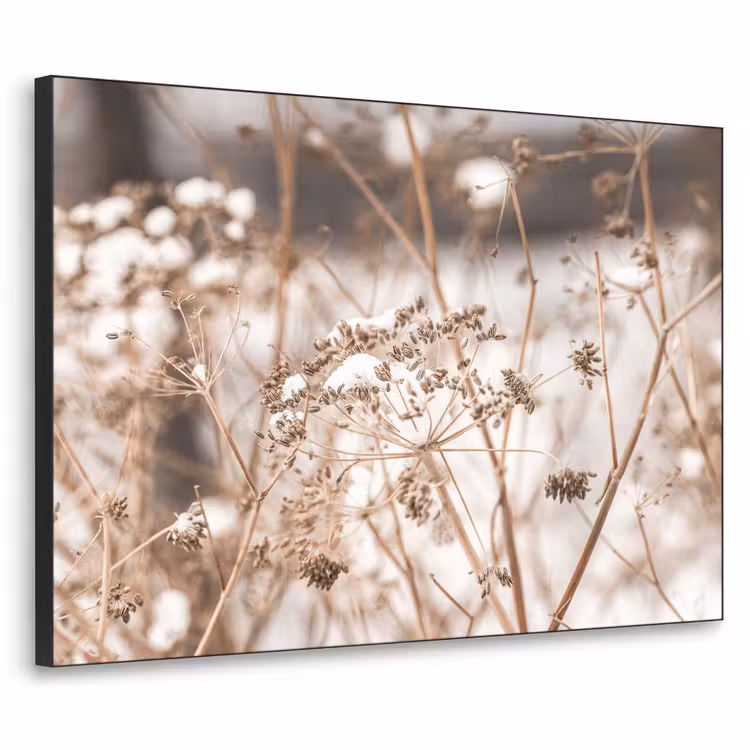 Droogbloemen - Wit - Planten Textielframe zwart klein -3d