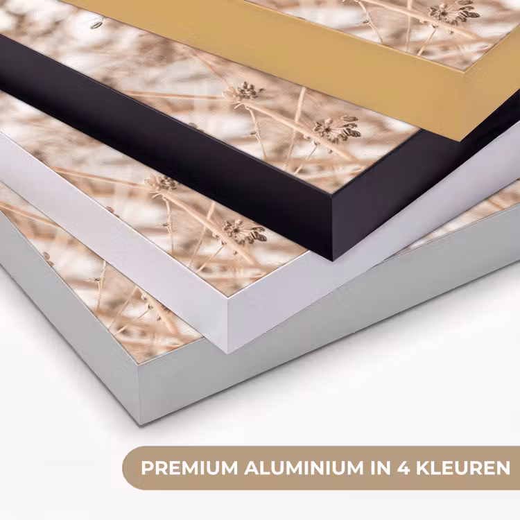 Droogbloemen - Wit - Planten Textielframe zwart klein -USP_kleurenNL