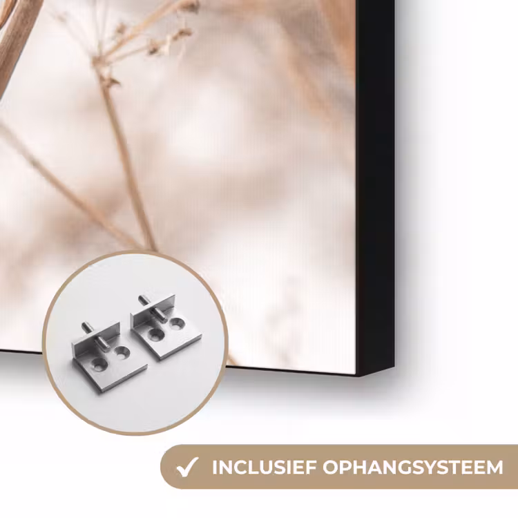 Droogbloemen - Wit - Planten Textielframe zwart klein -USP_ophangsysteemNL