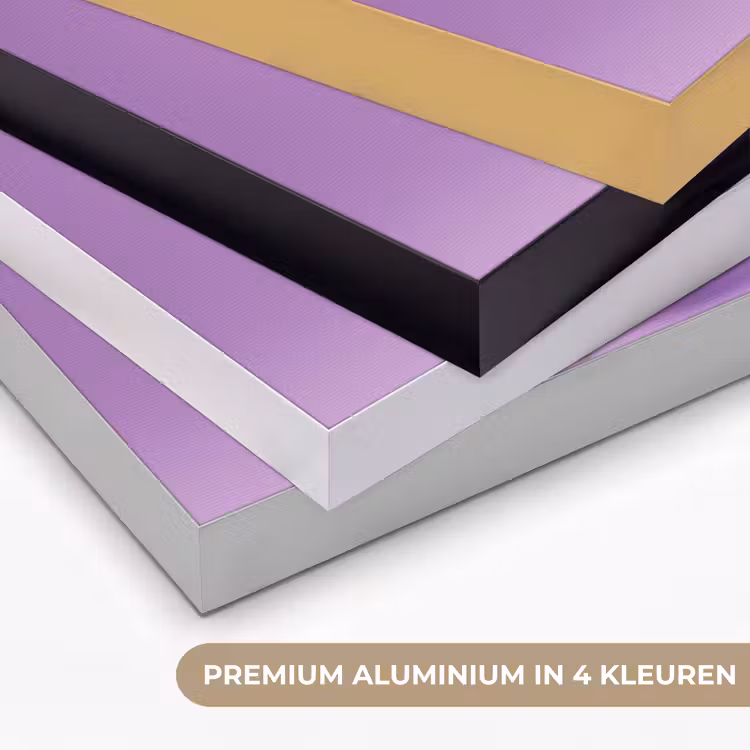 Druif - Disco - Glitter - Paars Textielframe zwart klein -USP_kleurenNL
