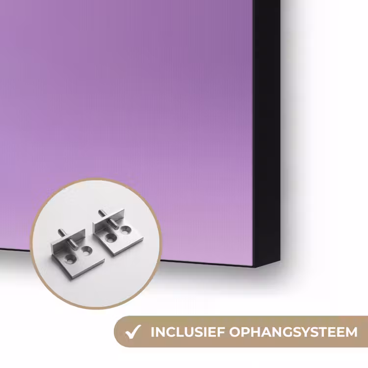Druif - Disco - Glitter - Paars Textielframe zwart klein -USP_ophangsysteemNL