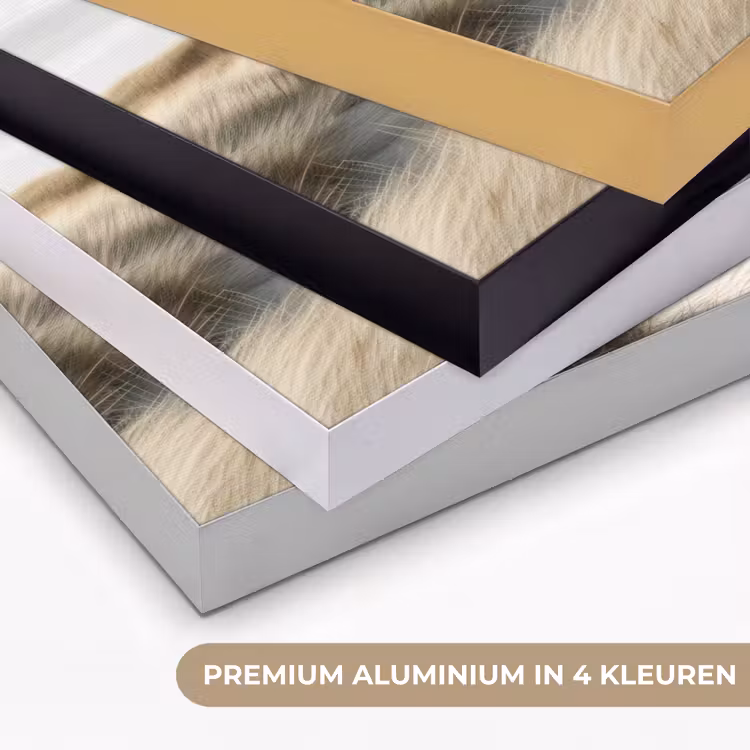 Duinen - Gras - Sporen - Wolken Textielframe zwart klein -USP_kleurenNL