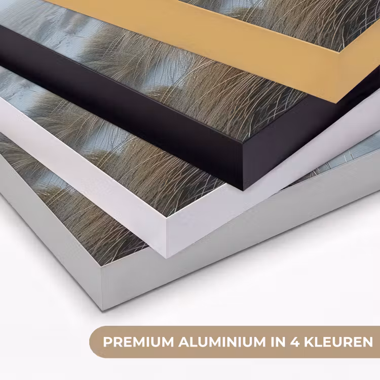 Duinen - Strand - Planten - Natuur Textielframe zwart klein -USP_kleurenNL
