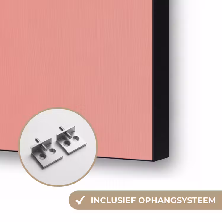 Duiven - Wit - Sierlijk Textielframe zwart klein -USP_ophangsysteemNL