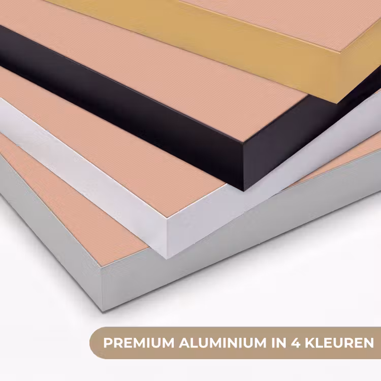 Dusty - Rose - Roze Textielframe zwart klein 947 -USP_kleurenNL