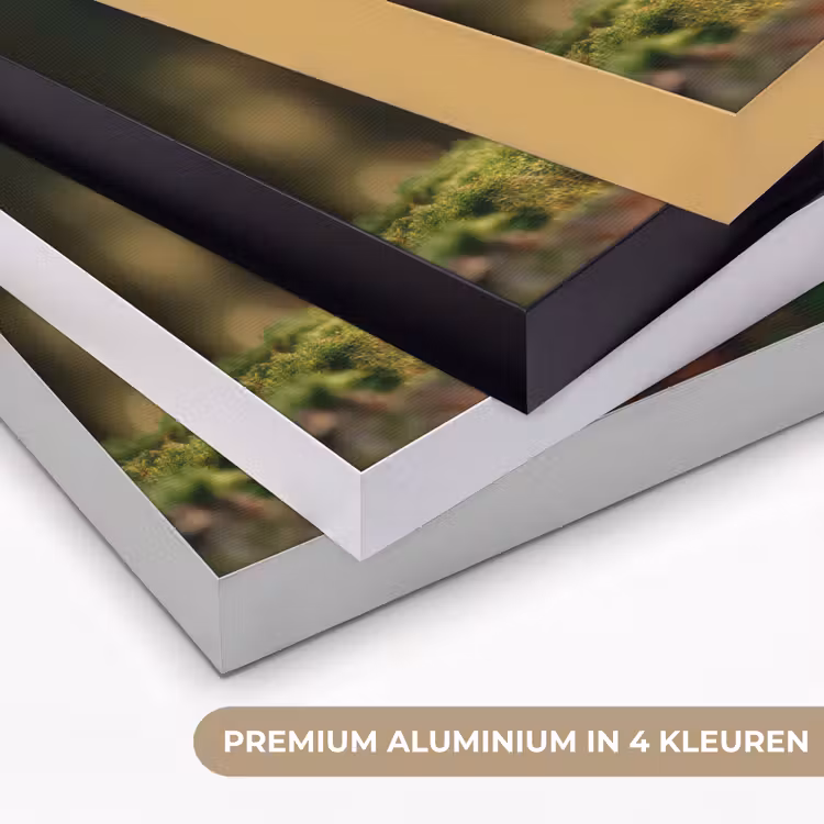 Eekhoorn - Nootje - Gras Textielframe zwart klein -USP_kleurenNL