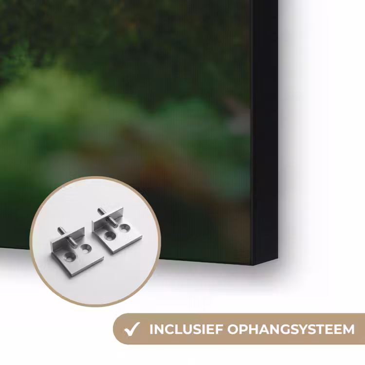 Eekhoorn - Nootje - Gras Textielframe zwart klein -USP_ophangsysteemNL