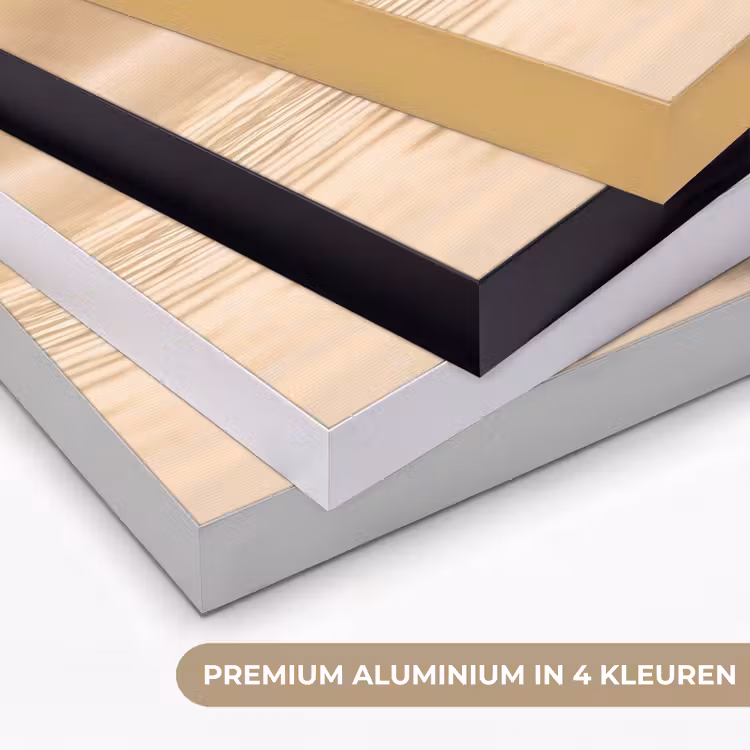 Eenden - Water - Mist - Natuur Textielframe zwart klein -USP_kleurenNL