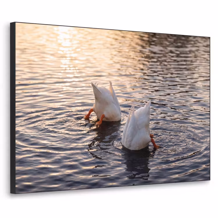 Eenden - Water - Natuur Textielframe zwart klein -3d