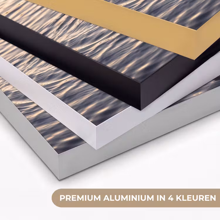 Eenden - Water - Natuur Textielframe zwart klein -USP_kleurenNL