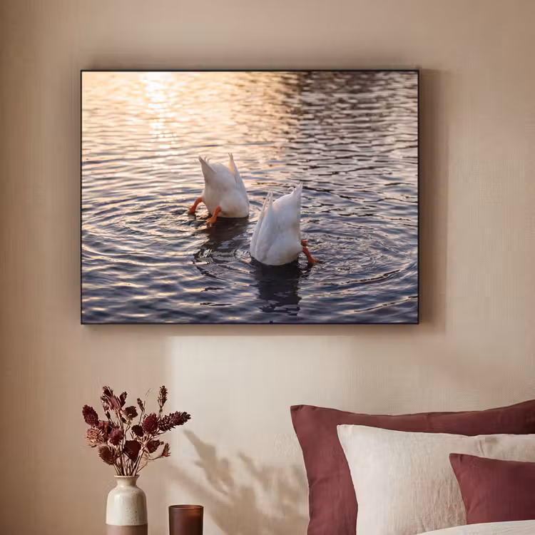 Eenden - Water - Natuur Textielframe zwart klein -sfeer1
