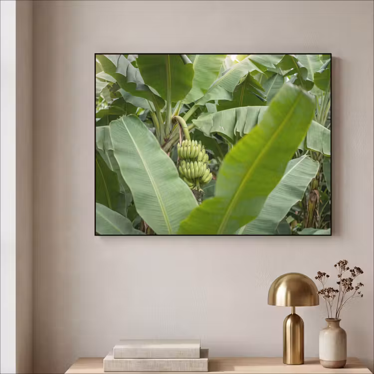 Eten - Bananen - Plantage - Groen Textielframe zwart klein -sfeer2