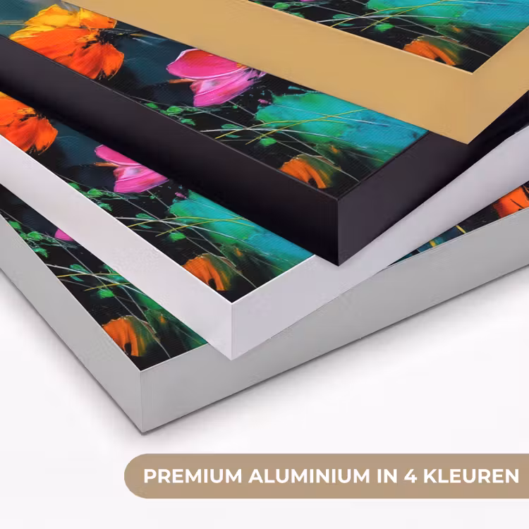 Felgekleurd - Bloemblaadjes - Abstract Textielframe zwart klein -USP_kleurenNL