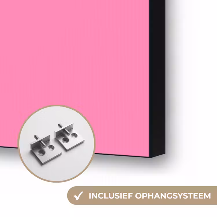 Felroze - Tanden - Schedel Textielframe zwart klein -USP_ophangsysteemNL
