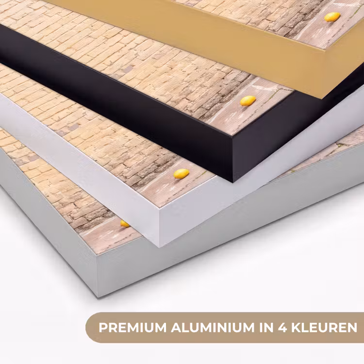 Fiets - Mand - Eten - Geel - Zomer Textielframe zwart klein -USP_kleurenNL