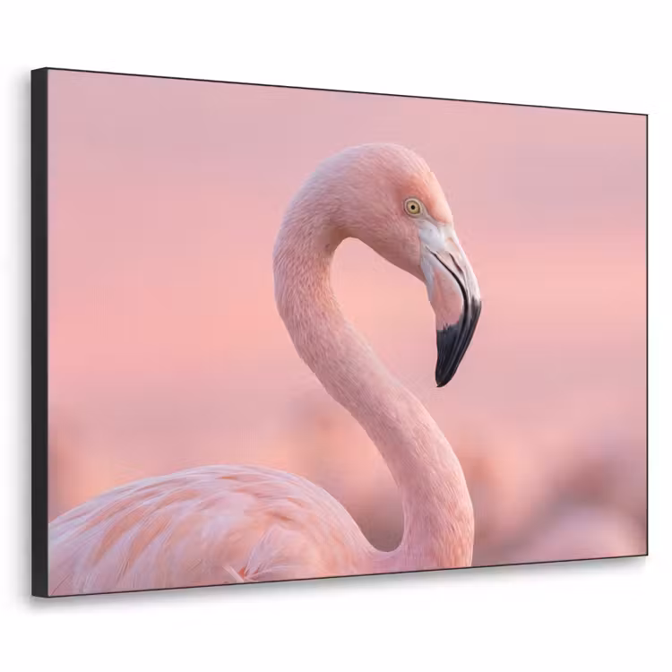 Flamingo - Portret - Roze Textielframe zwart klein -3d