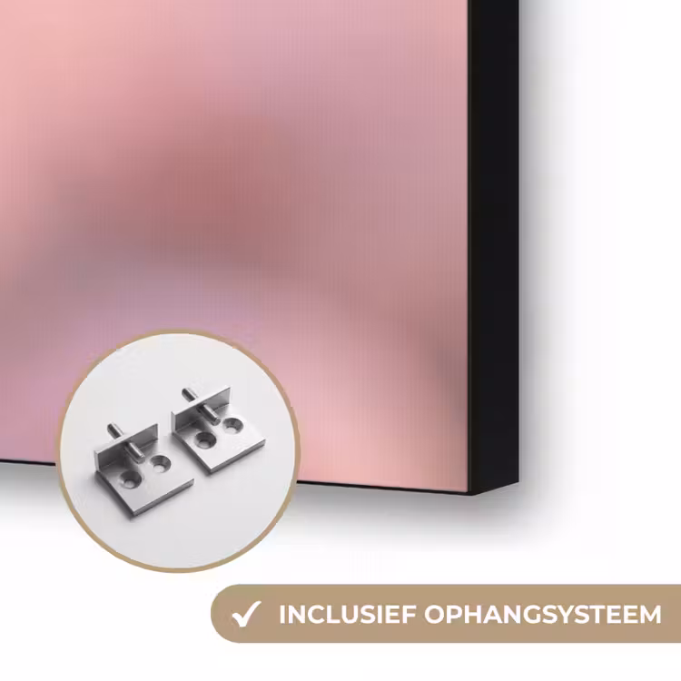 Flamingo - Portret - Roze Textielframe zwart klein -USP_ophangsysteemNL
