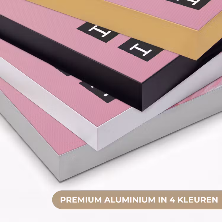 Flamingo - Roze - Vogel - Decoratie Textielframe zwart klein -USP_kleurenNL