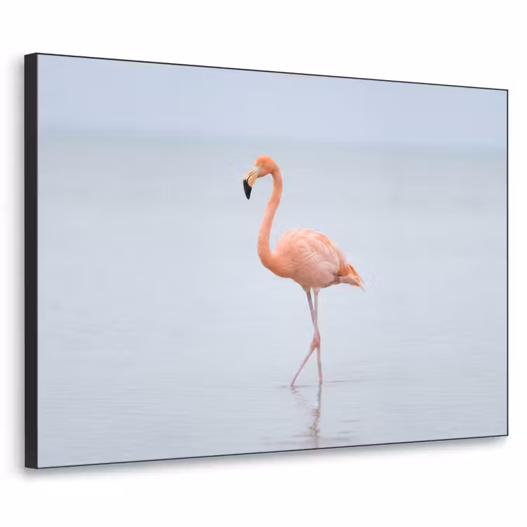 Flamingo - Zee - Roze Textielframe zwart klein -3d